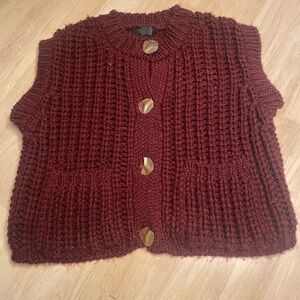 Zara Knit Button Down Sweater Vest